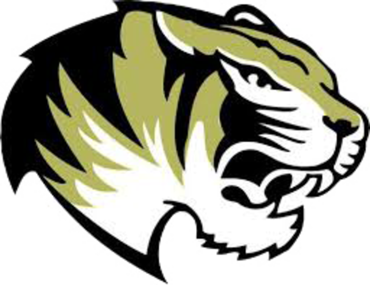Husky Clipart Raypec - Lee's Summit High School Logo (720x554)