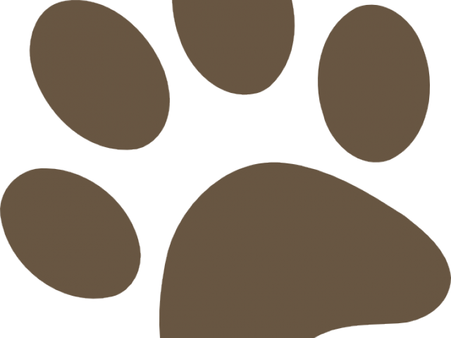 Husky Clipart Paw Print - Dog (640x480)