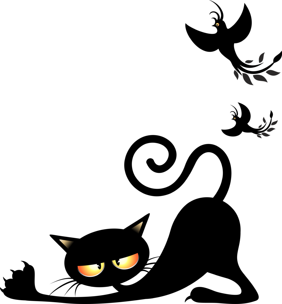 Angery Cat Clipart 10 Catfish - Cat (949x1024)