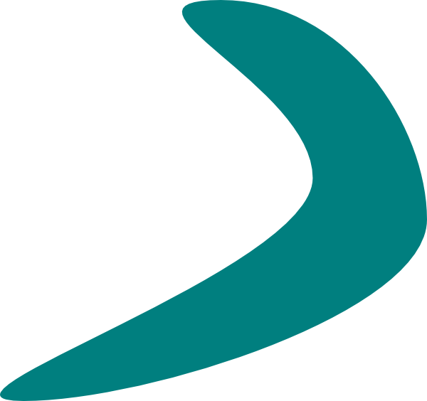 Boomerang Png (600x564)