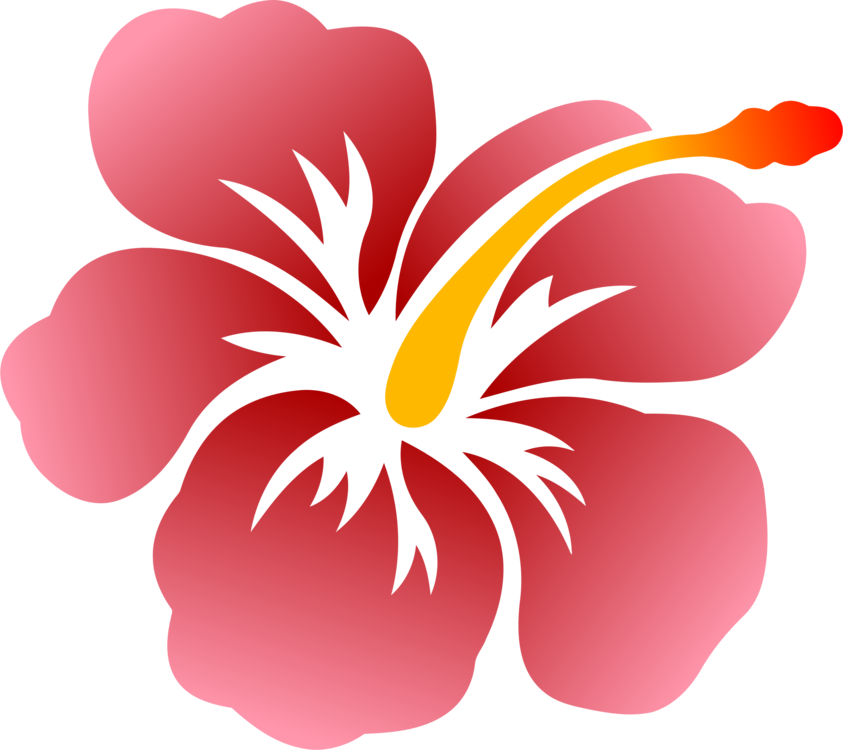 All Photo Png Clipart - Aloha Flower (843x750)