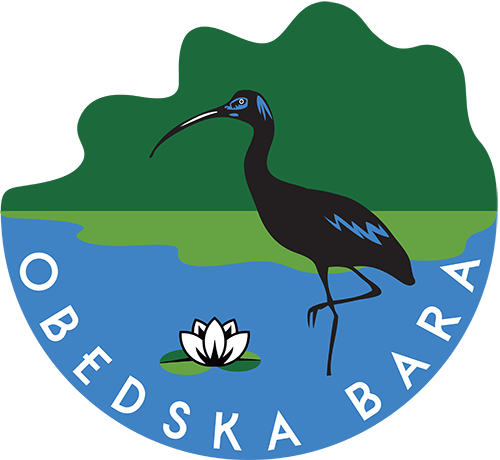 Obedska Bara The Myth And The Legend - Obedska Bara The Myth And The Legend (500x460)
