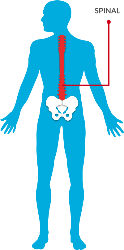 Find A Doctor And Make An Appointment - Surgery (447x848)