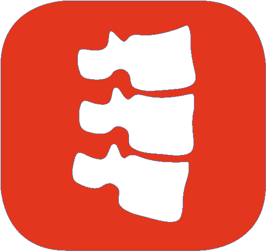 Spinal - William V. Salvatore, Dc (616x551)