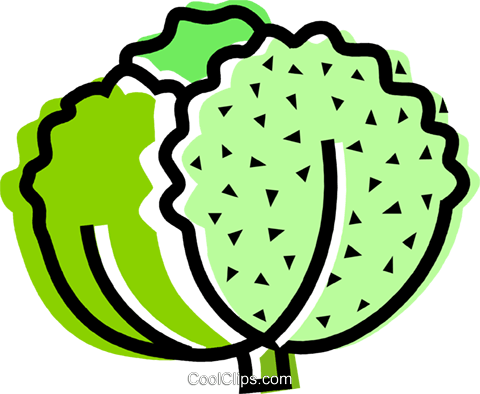 Lettuce Royalty Free Vector Clip Art Illustration - Lettuce Royalty Free Vector Clip Art Illustration (480x394)