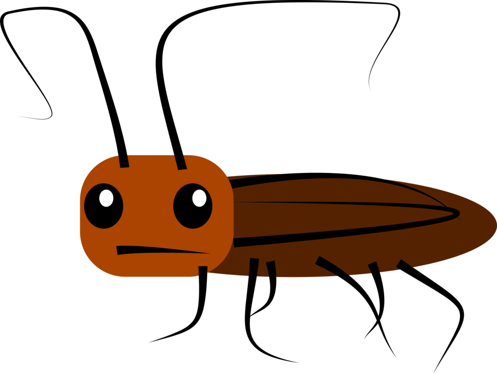 Madagascar Hissing Cockroach Cartoon Clip Free Download - Cockroach Clipart (996x750)