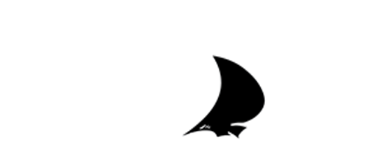 Raeys Martial Arts - Crescent (600x286)