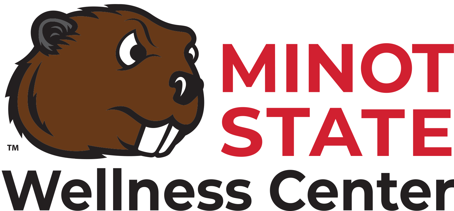 Student Wellnessbvr Color 2018 2 - Minot State University (1800x911)