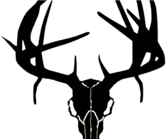 Buck Clipart Deer Skull - Logo Deer And Fish (640x480)