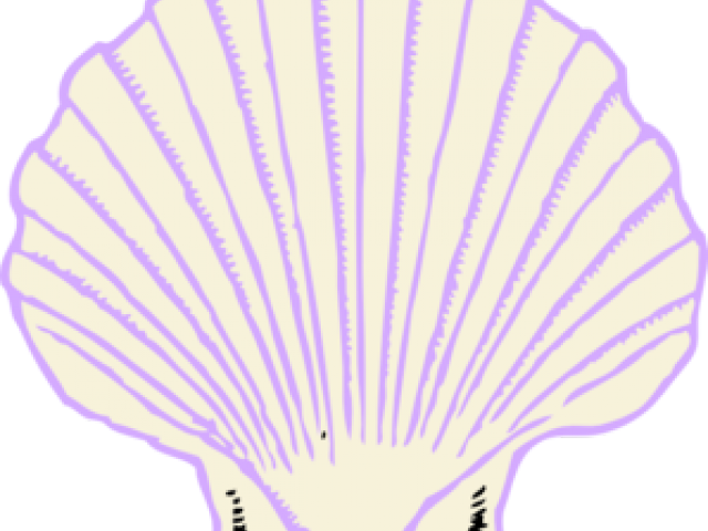 Lavender Clipart Seashell - Shell Clip Art (640x480)