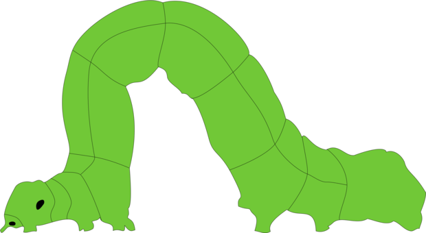 Inchworm Download Line Art - Inchworm Download Line Art (620x340)