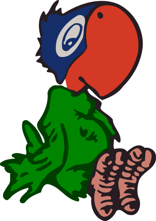 All Photo Png Clipart - Icon (530x750)