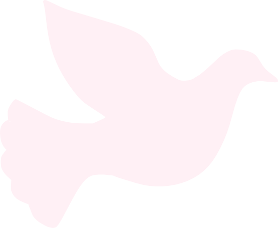 Peace Lavender Blush - Peace Lavender Blush (555x455)