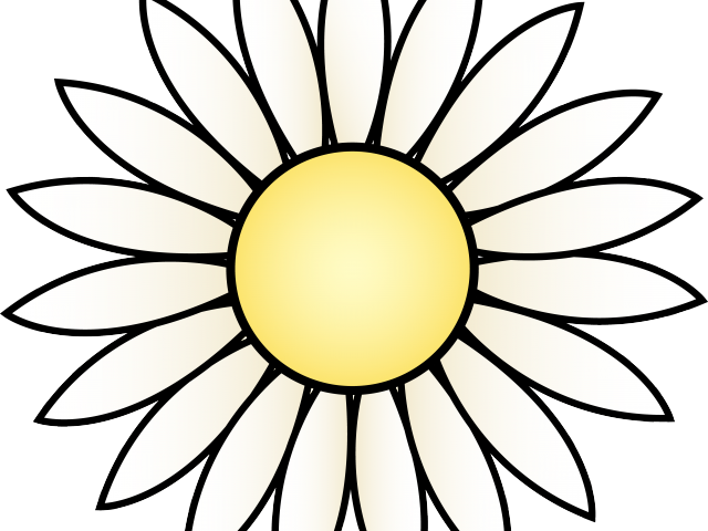 Lavender Clipart Cartoon - Black And White Sunflower Clipart (640x480)