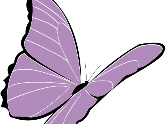 Lavender Clipart Butterfly - Lavender Clipart Butterfly (640x480)