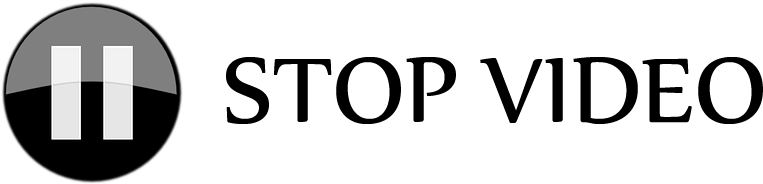 Club Mango´s Where You Will Enjoy Traditional Tacos - Club Mango´s Where You Will Enjoy Traditional Tacos (798x219)