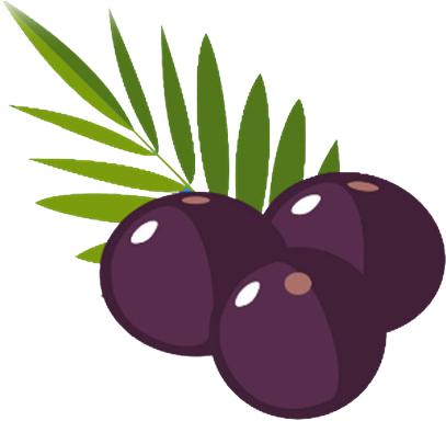 Vitapro21 Presents When Hangover Cure Property Tax - Acai Berry Vector (425x389)