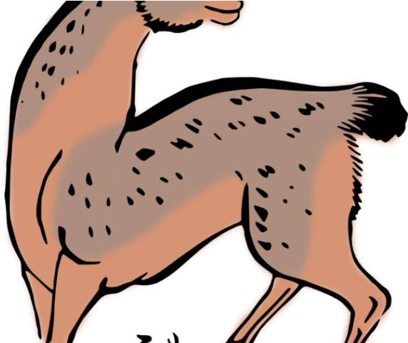 Aztec Clipart Deer - Custom Deer Shower Curtain (640x480)