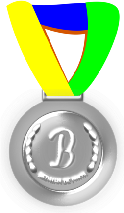 All Photo Png Clipart - Medal (528x750)