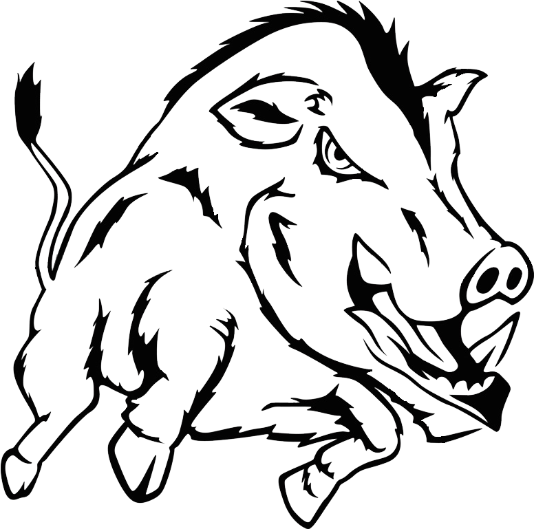 Hunting In Bulgaria - Wild Boar Black And White (960x769)