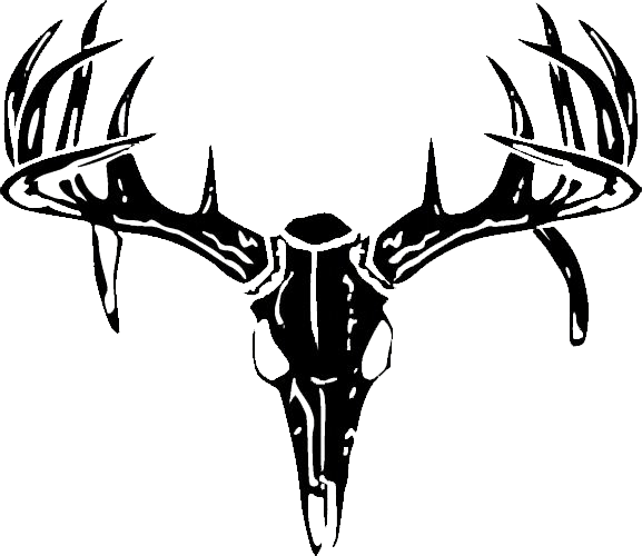 Dear Skull Vector (577x500)