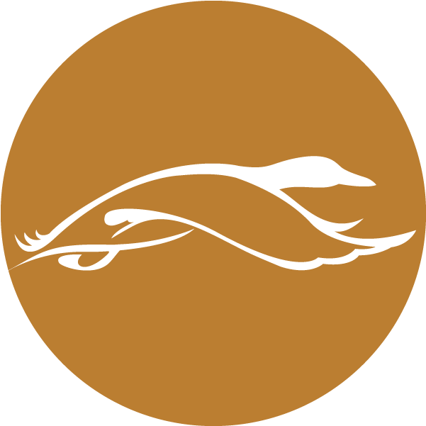 Southbound Outdoors 2016 - Illustration (620x620)