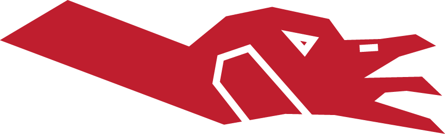 Goose And Duck Calling Instructional Videos From Three-time - Goose And Duck Calling Instructional Videos From Three-time (867x261)