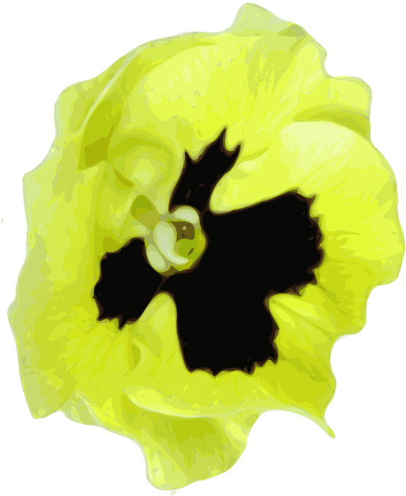 All Photo Png Clipart - Gelbes Schwarzes Pansy Stein-wurfskissen Kissen (596x750)