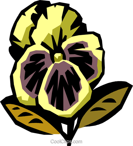 Pansy Royalty Free Vector Clip Art Illustration - Cartoon Designer (438x480)