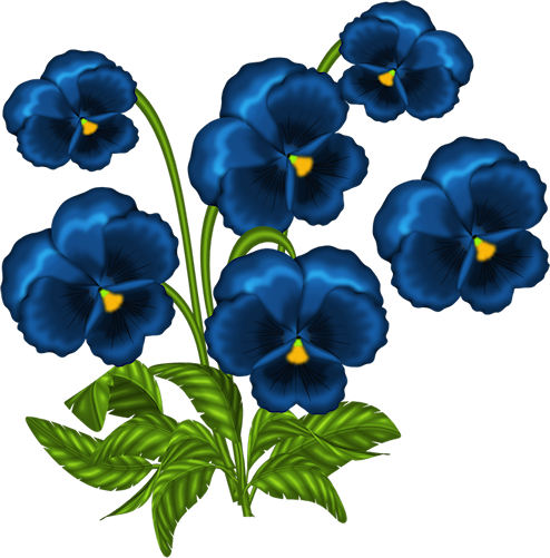 02ccfb60 Pansies, Tube, Clip Art, Pictures - African Violets Clipart (494x501)