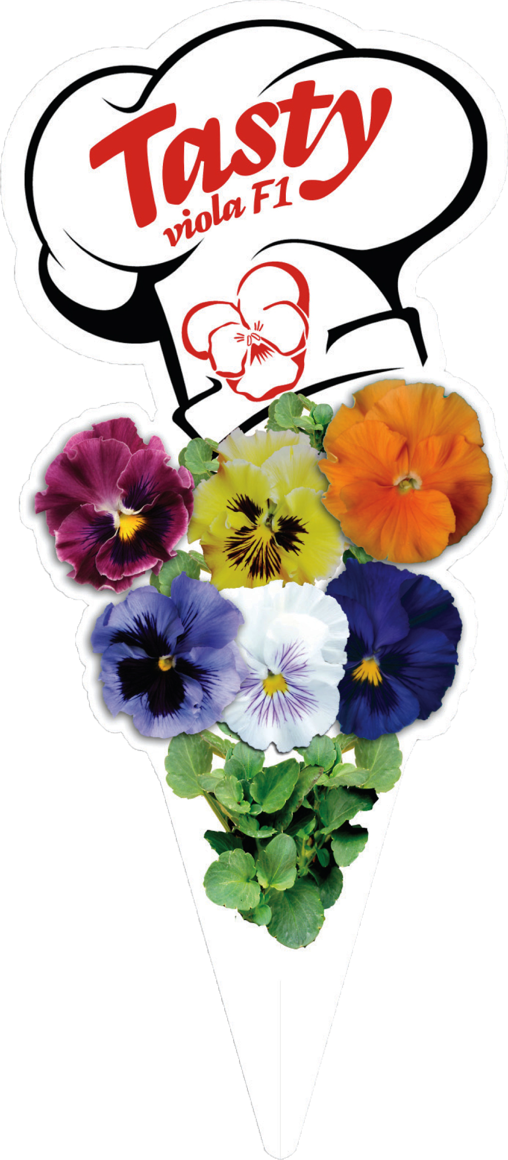Click To Open Image Click To Open Image - Pansy (1029x2350)