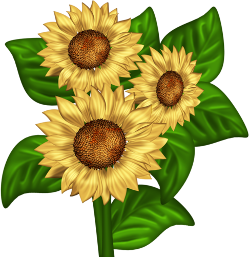 Read It - Pretty Floral Butterfly Birthday Photograph Card, Your (500x500)