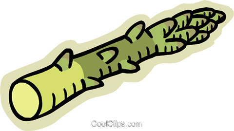 Asparagus Royalty Free Vector Clip Art Illustration - Spargel Clipart (480x269)
