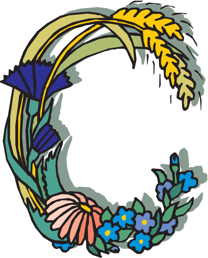 Alfabeto Floweryc - Alfabeto Floweryc (729x905)