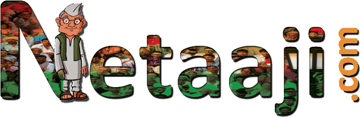 For Your Political Campaign - For Your Political Campaign (800x300)