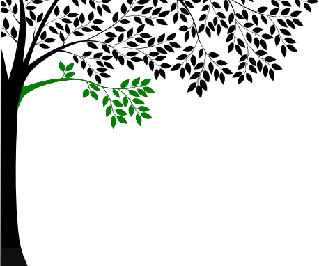 Counseling And Therapy Contact Information - Orchard Restaurant Cle Elum (458x382)