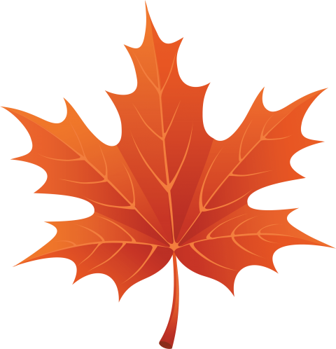 Banner Transparent Stock Autumn Leaf Clipart Free - Banner Transparent Stock Autumn Leaf Clipart Free (480x498)