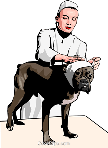 Veterinary Care Royalty Free Vector Clip Art Illustration - Illustration (350x480)