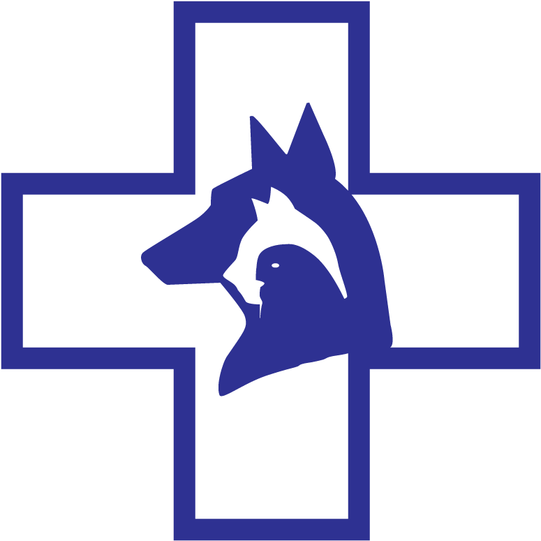 Logo Clipart Vet - Veterinary Cross (1000x1000)
