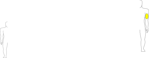 Shirt (600x236)
