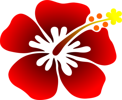 Flower Rosemallows T-shirt Floral Design Aloha - T Shirt Floral Designs (413x340)
