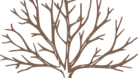 Exclusive Inspiration Bare Tree Outline Clipart Panda - Draw A Winter Tree (585x329)