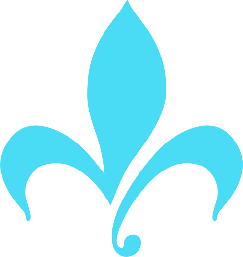 Partie De Bachelorette Nola - Icon (493x523)