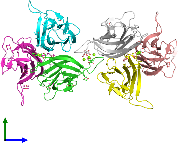 Pdb 1kxg Coloured By Chain And Viewed From The Front - Illustration (800x800)