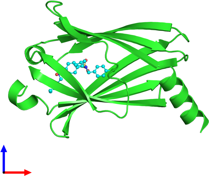 Pdb 5ml2 Coloured By Chain And Viewed From The Front - Graphic Design (800x800)