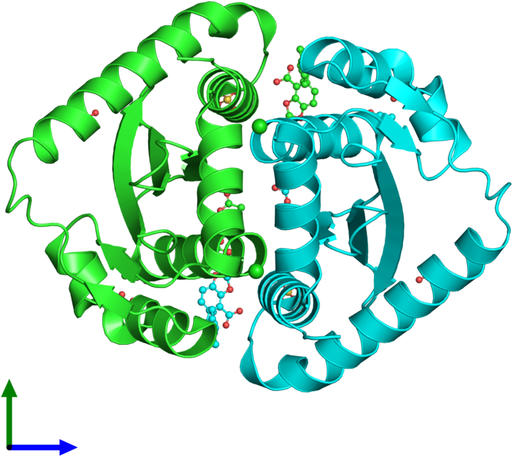 Pdb 4chq Coloured By Chain And Viewed From The Front - Illustration (800x800)