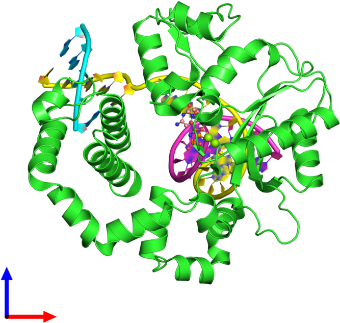 Pdb 5ugp Coloured By Chain And Viewed From The Front - Illustration (800x800)