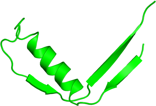 <div Class='caption-body'>2 Copies Of Scop Domain < - <div Class='caption-body'>2 Copies Of Scop Domain < (800x800)