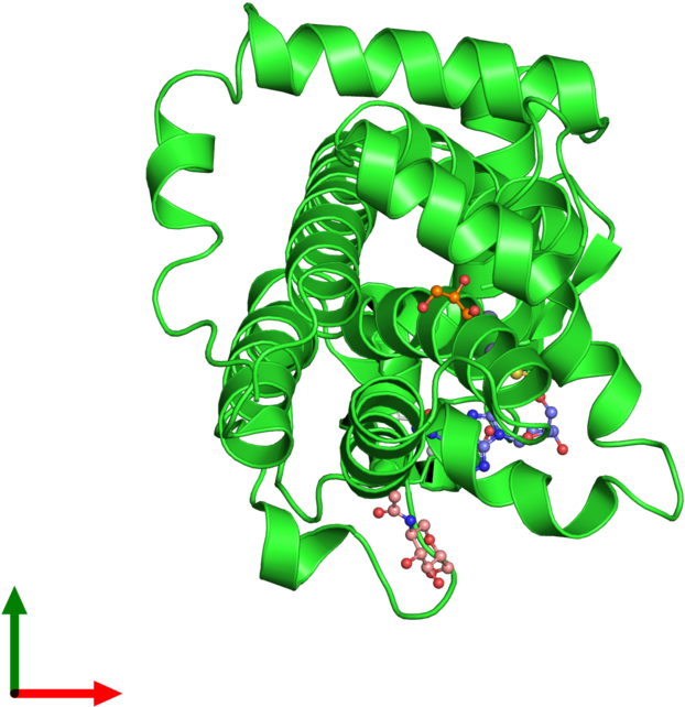 Protein Data Bank (800x800)