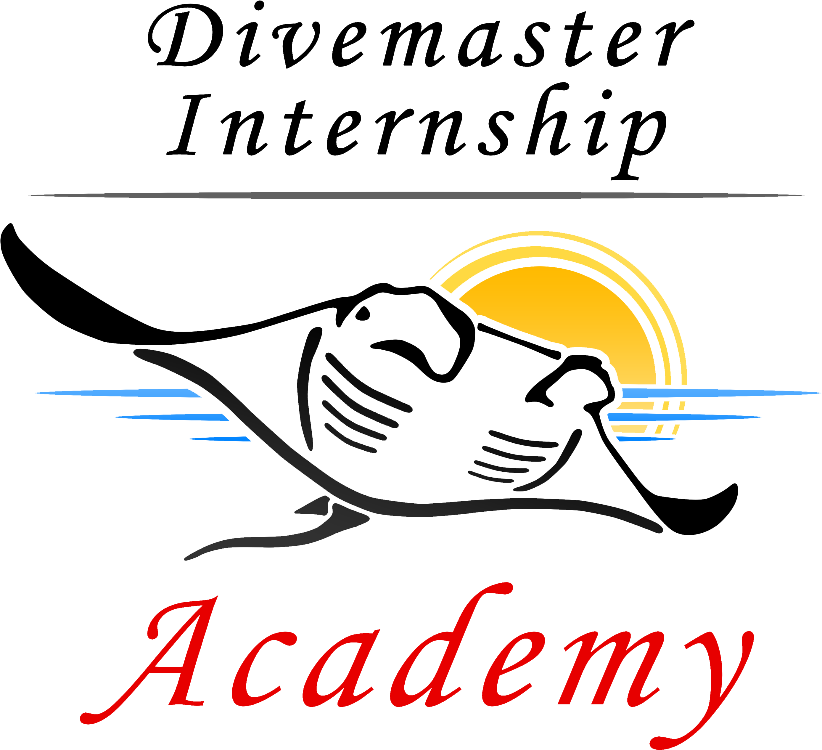 Padi Divemaster Internships - Divemaster (2895x2895)